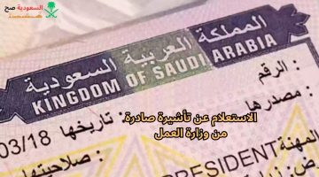 الاستعلام عن تأشيرة صادرة من وزارة العمل السعودية 1444